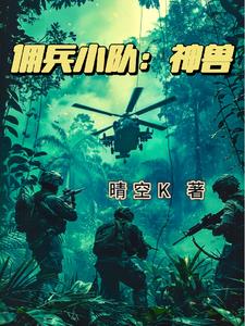 雇佣兵小说完结免费